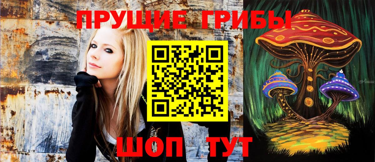 Сарапул  Псилоцибиновые грибы GOLDEN TEACHER  Вход с VPN 