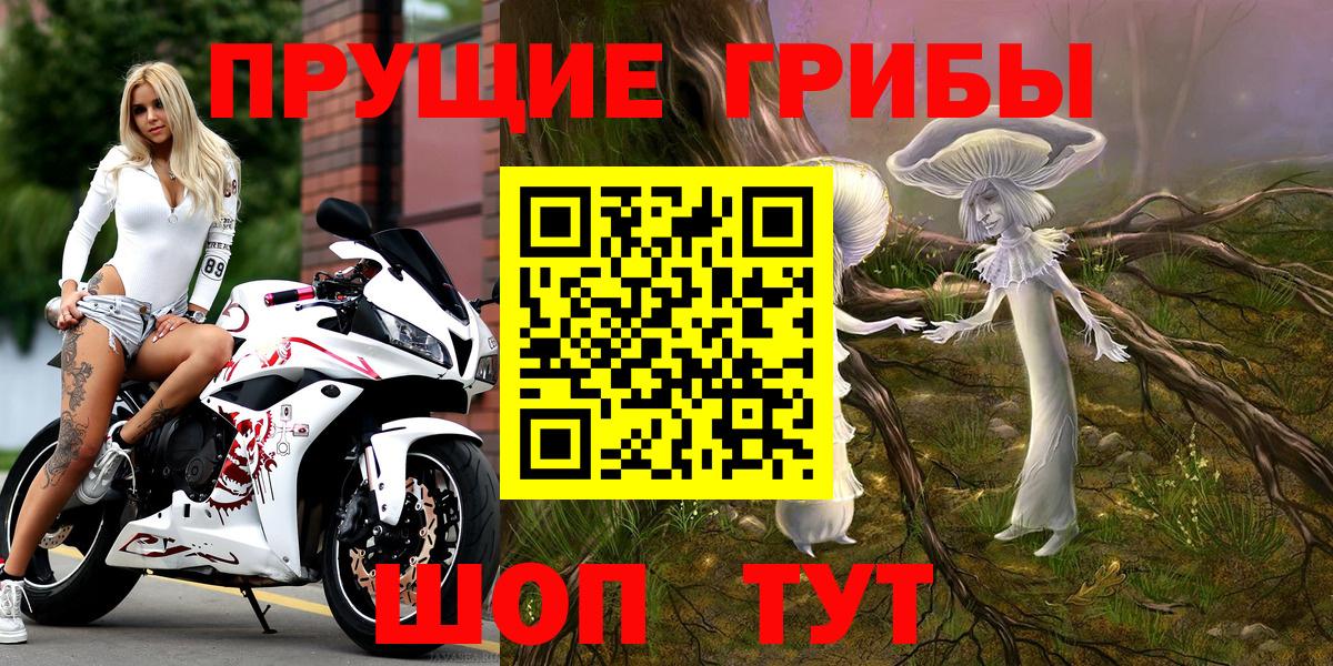 Галлюциногенные грибы GOLDEN TEACHER Сарапул